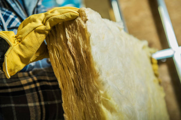 Trusted Rainbow Park, FL Insulation Contractor Experts