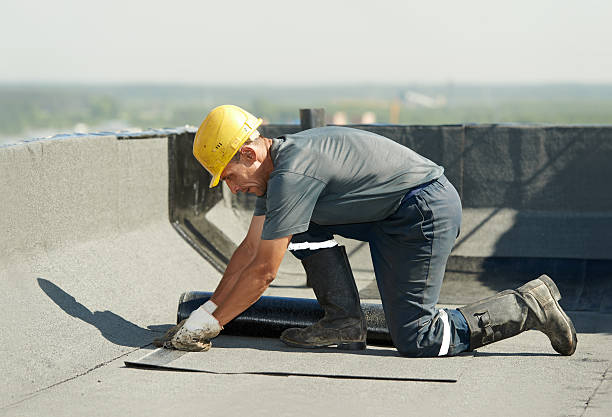 Best Energy Efficiency Insulation in Rainbow Park, FL