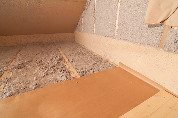 Best Specialized Insulation Services in Rainbow Park, FL